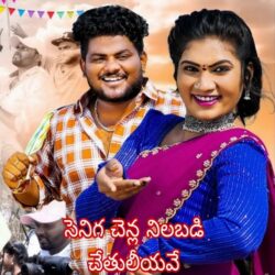Seniga Chenla Nilabadi Chethuliyave DJ Telugu Movie songs download